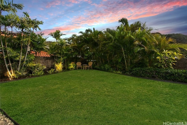 view of yard at dusk