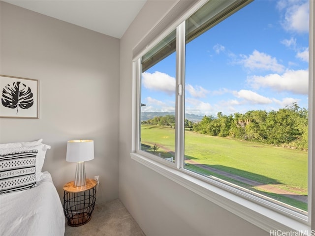 carpeted bedroom featuring multiple windows