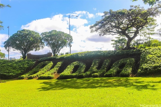 view of property's community featuring a lawn