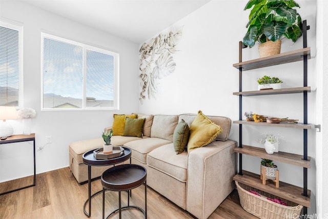 living room featuring light hardwood / wood-style floors