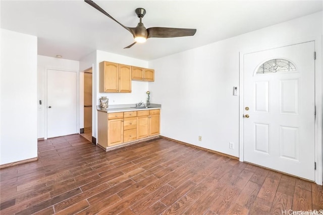 kitchen featuring ceiling fan, sink, light brown cabinets, and dark hardwood / wood-style flooring