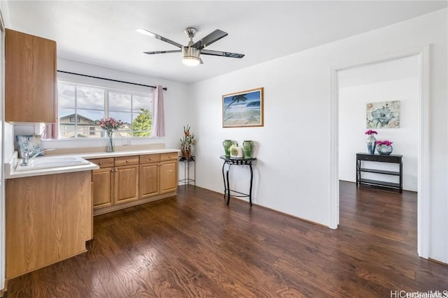 kitchen with ceiling fan, sink, and dark hardwood / wood-style floors