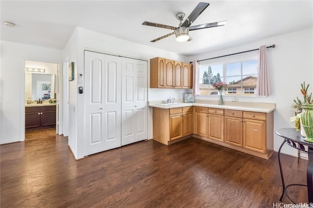 kitchen featuring sink, ceiling fan, and dark wood-type flooring