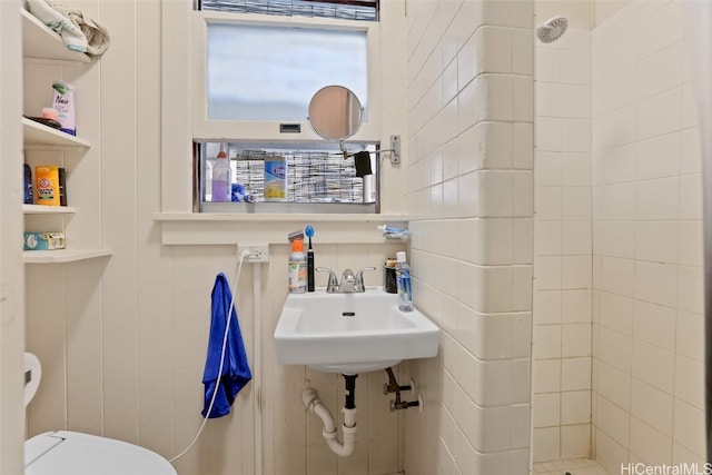 bathroom with sink and toilet