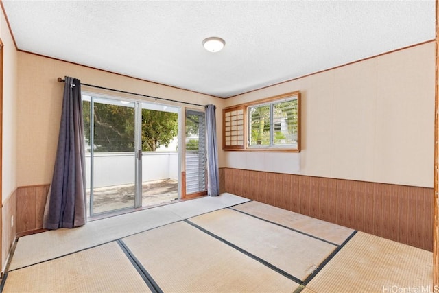 spare room featuring light carpet, a textured ceiling, and wood walls