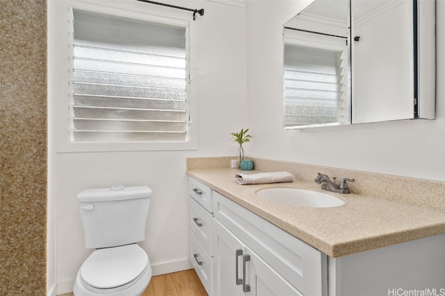 bathroom with vanity, wood-type flooring, and toilet