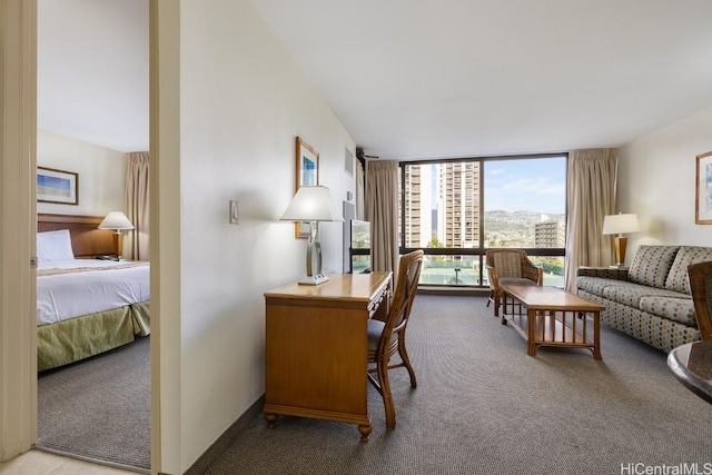 carpeted home office featuring floor to ceiling windows