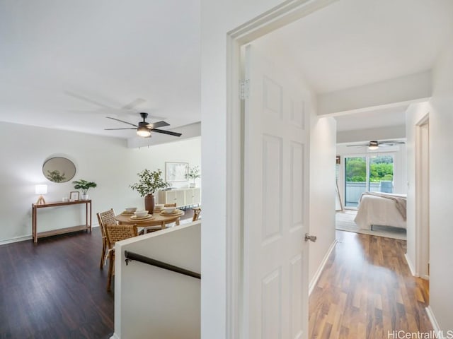 hallway featuring dark hardwood / wood-style flooring