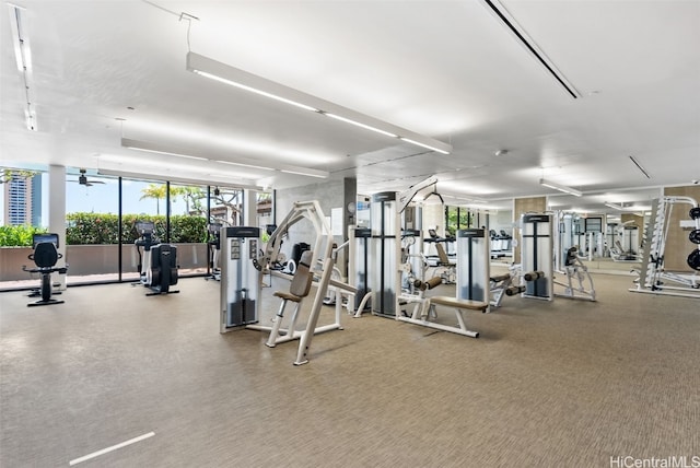 workout area featuring a healthy amount of sunlight and floor to ceiling windows