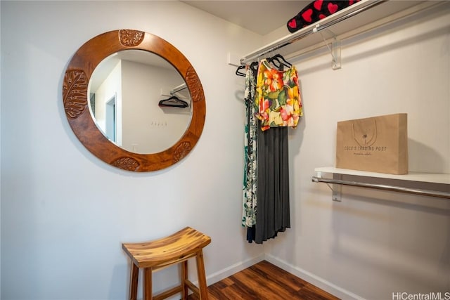 spacious closet with dark wood-type flooring