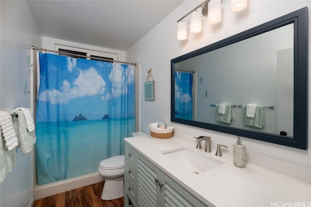 bathroom featuring vanity, toilet, walk in shower, and wood-type flooring