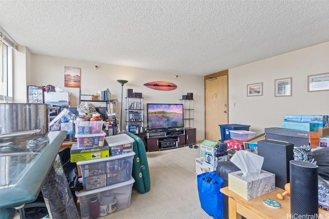 carpeted living area featuring a textured ceiling