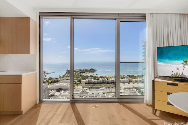 entryway featuring light wood-type flooring and floor to ceiling windows