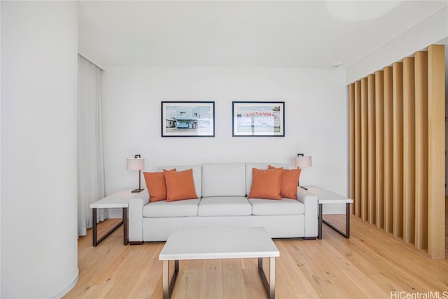 living room with light hardwood / wood-style flooring