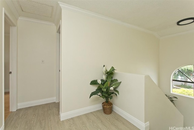 hall with light hardwood / wood-style floors and crown molding