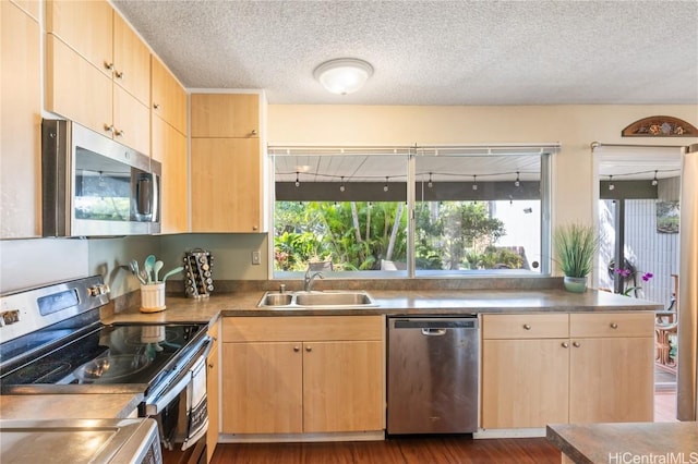 kitchen with a healthy amount of sunlight, stainless steel appliances, light brown cabinetry, and sink