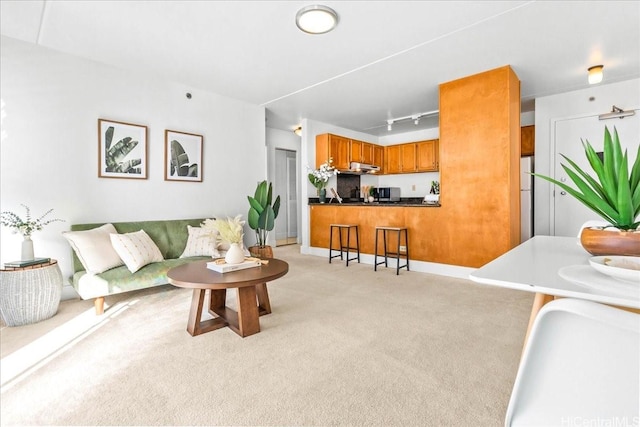 2522 Date St Unit 304, Honolulu, HI 96826 - living area featuring light colored carpet and rail lighting