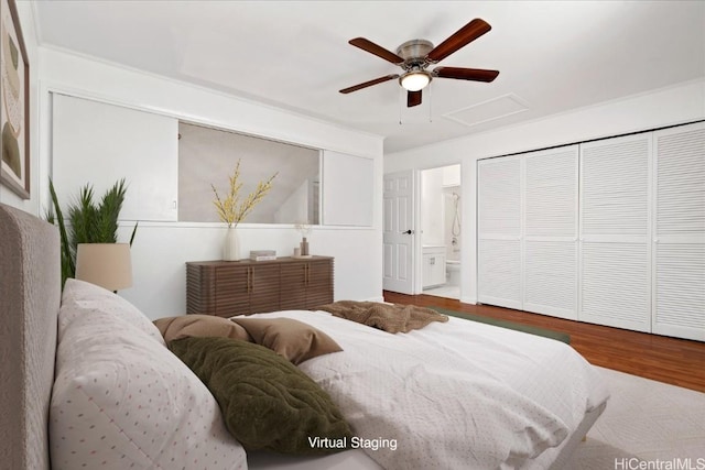 bedroom featuring ceiling fan, wood-type flooring, and connected bathroom