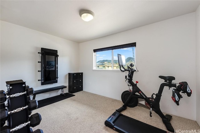 exercise area featuring carpet