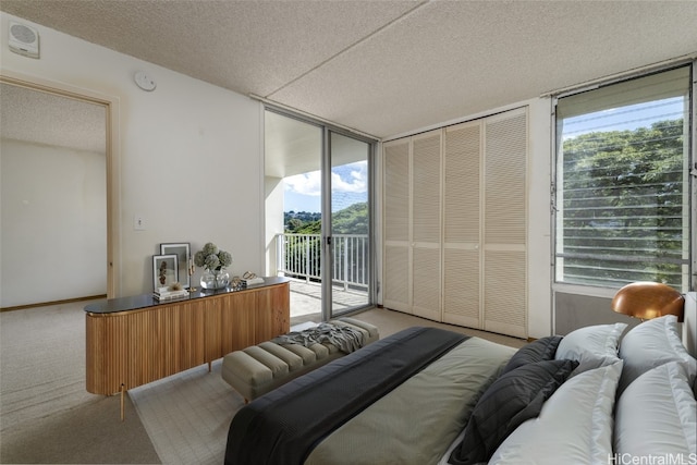 carpeted bedroom with access to outside and a textured ceiling