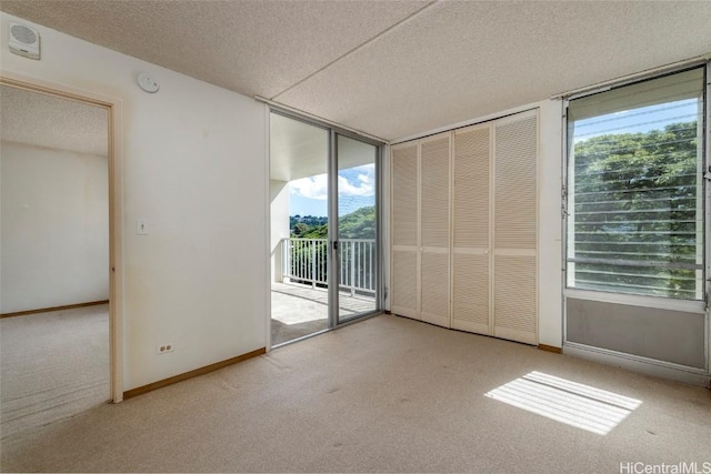 carpeted spare room featuring plenty of natural light and a textured ceiling