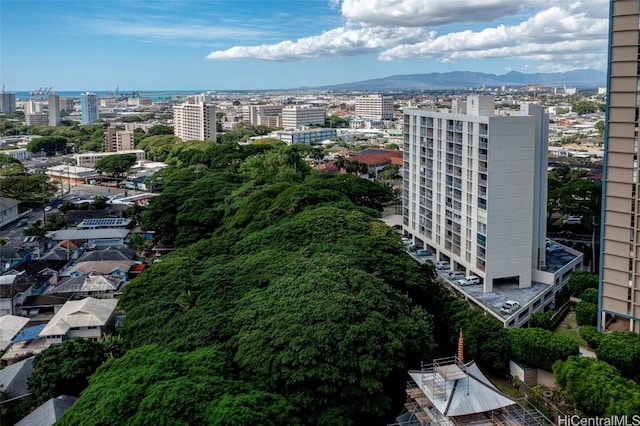 aerial view with a mountain view