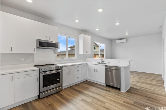 kitchen featuring a wall unit AC, wood finished floors, range hood, stainless steel appliances, and a sink