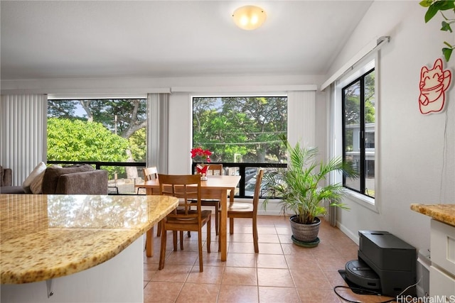 tiled dining space featuring a wealth of natural light