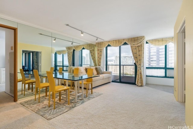 dining room with track lighting and carpet