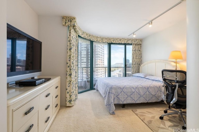 bedroom featuring rail lighting and light colored carpet