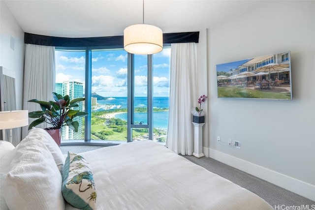 carpeted bedroom with multiple windows and floor to ceiling windows