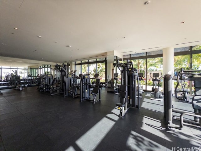 gym featuring plenty of natural light and a wall of windows