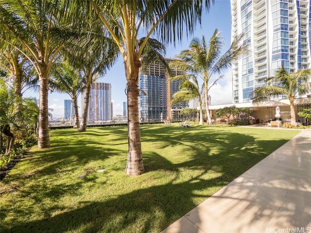 view of home's community with a lawn