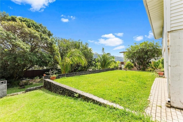 view of yard with a fenced backyard