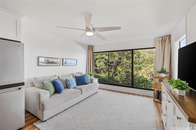 living room with ceiling fan and light hardwood / wood-style floors