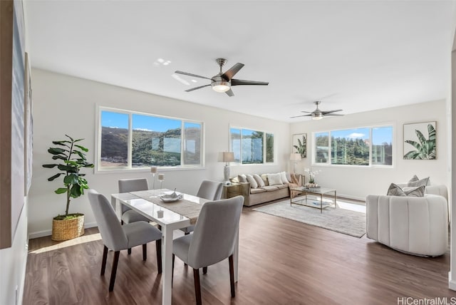 dining room featuring hardwood / wood-style floors, a wealth of natural light, and ceiling fan