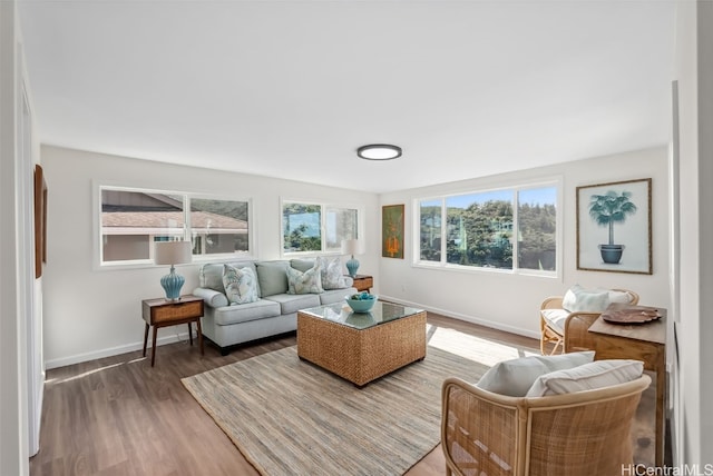 living room featuring hardwood / wood-style flooring