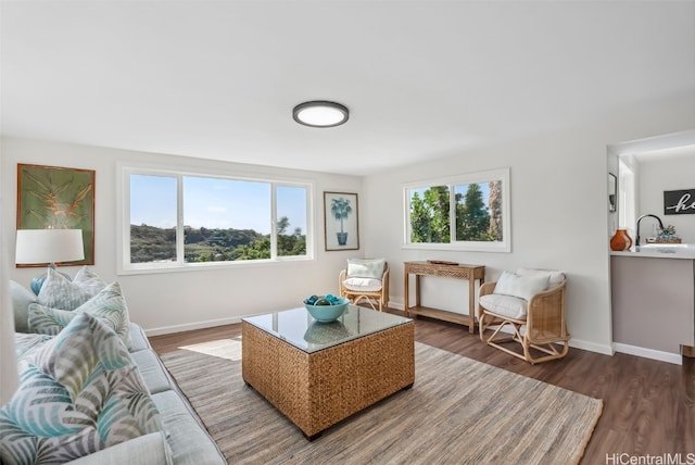 living room featuring hardwood / wood-style flooring and a healthy amount of sunlight