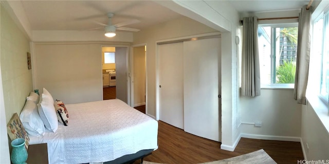 bedroom featuring ceiling fan, dark hardwood / wood-style floors, a closet, and multiple windows