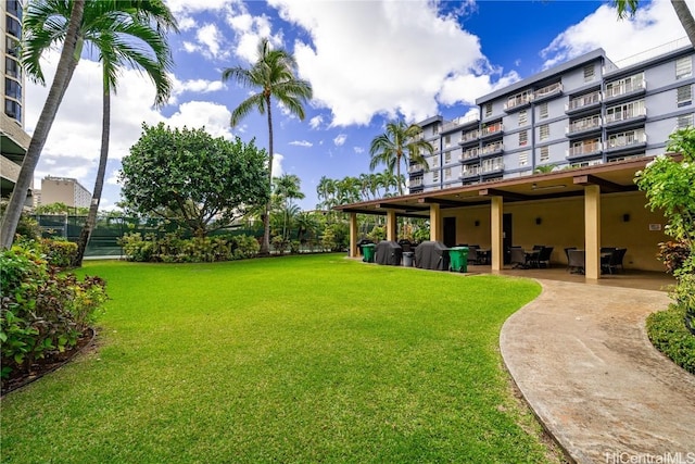 view of yard featuring a patio area