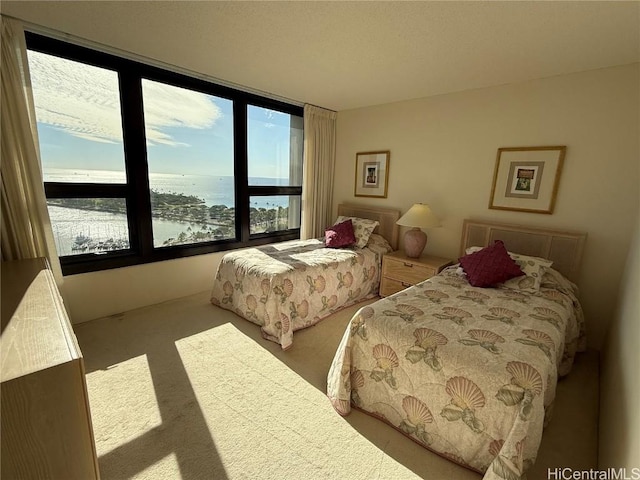 bedroom with light carpet and a water view