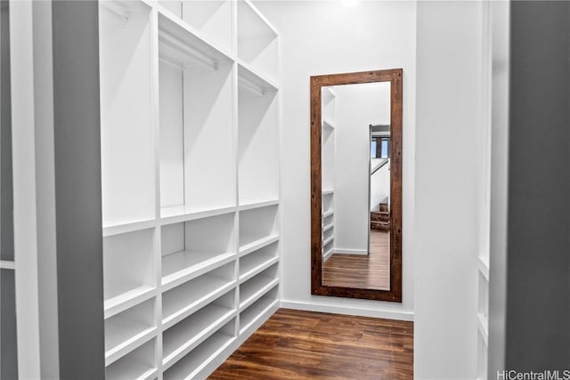 walk in closet featuring dark wood-style floors