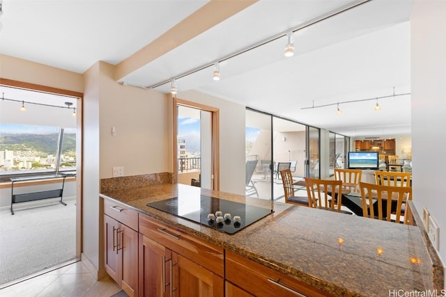 kitchen featuring light colored carpet, black electric stovetop, rail lighting, and dark stone countertops