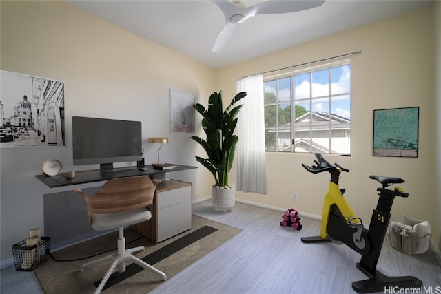 office with ceiling fan and light hardwood / wood-style flooring