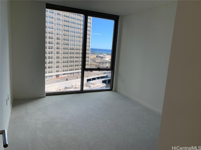 carpeted empty room featuring expansive windows