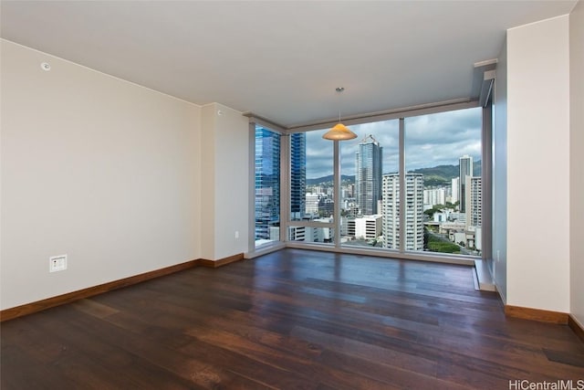 spare room with floor to ceiling windows and dark hardwood / wood-style floors