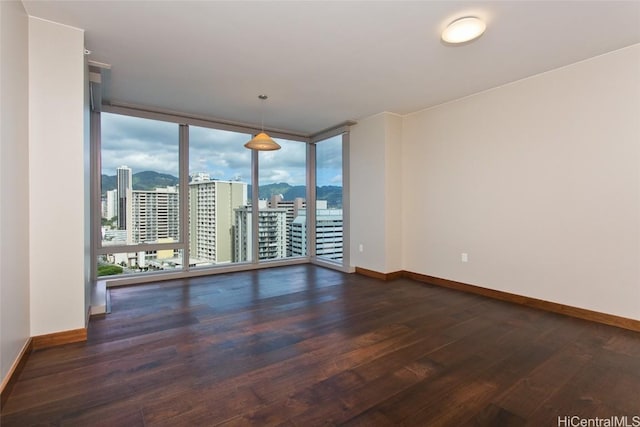 empty room featuring expansive windows, plenty of natural light, and dark wood-type flooring