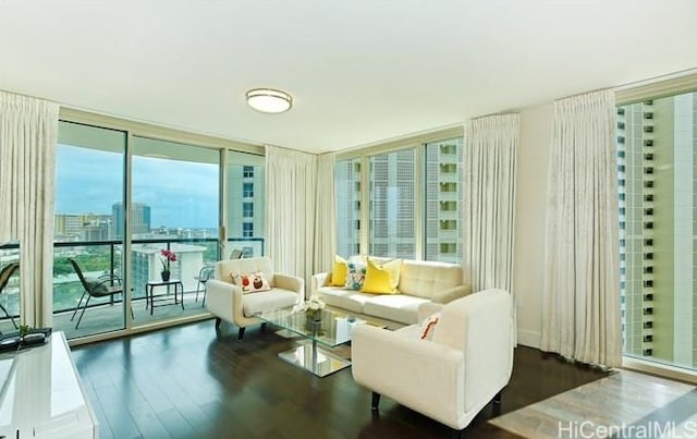 living room with a healthy amount of sunlight, floor to ceiling windows, and dark hardwood / wood-style flooring