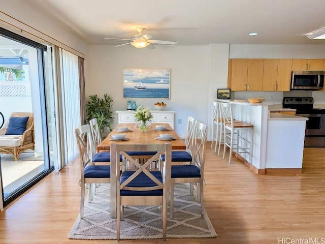 dining area with ceiling fan and light wood-type flooring