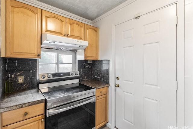 kitchen featuring crown molding, stainless steel range with electric cooktop, and decorative backsplash